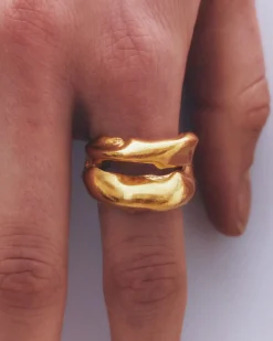 SIMUERO Rings>Carme